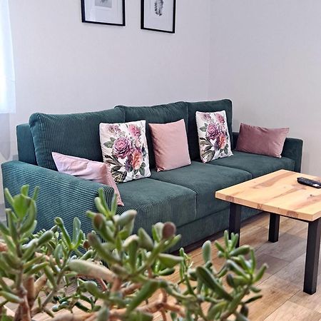 Apartament Dzika Roza Kowary Dış mekan fotoğraf