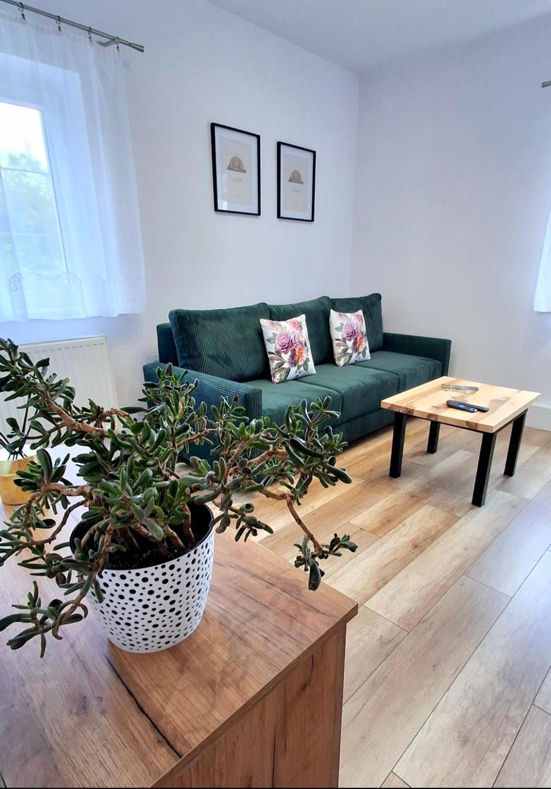 Apartament Dzika Roza Kowary Dış mekan fotoğraf