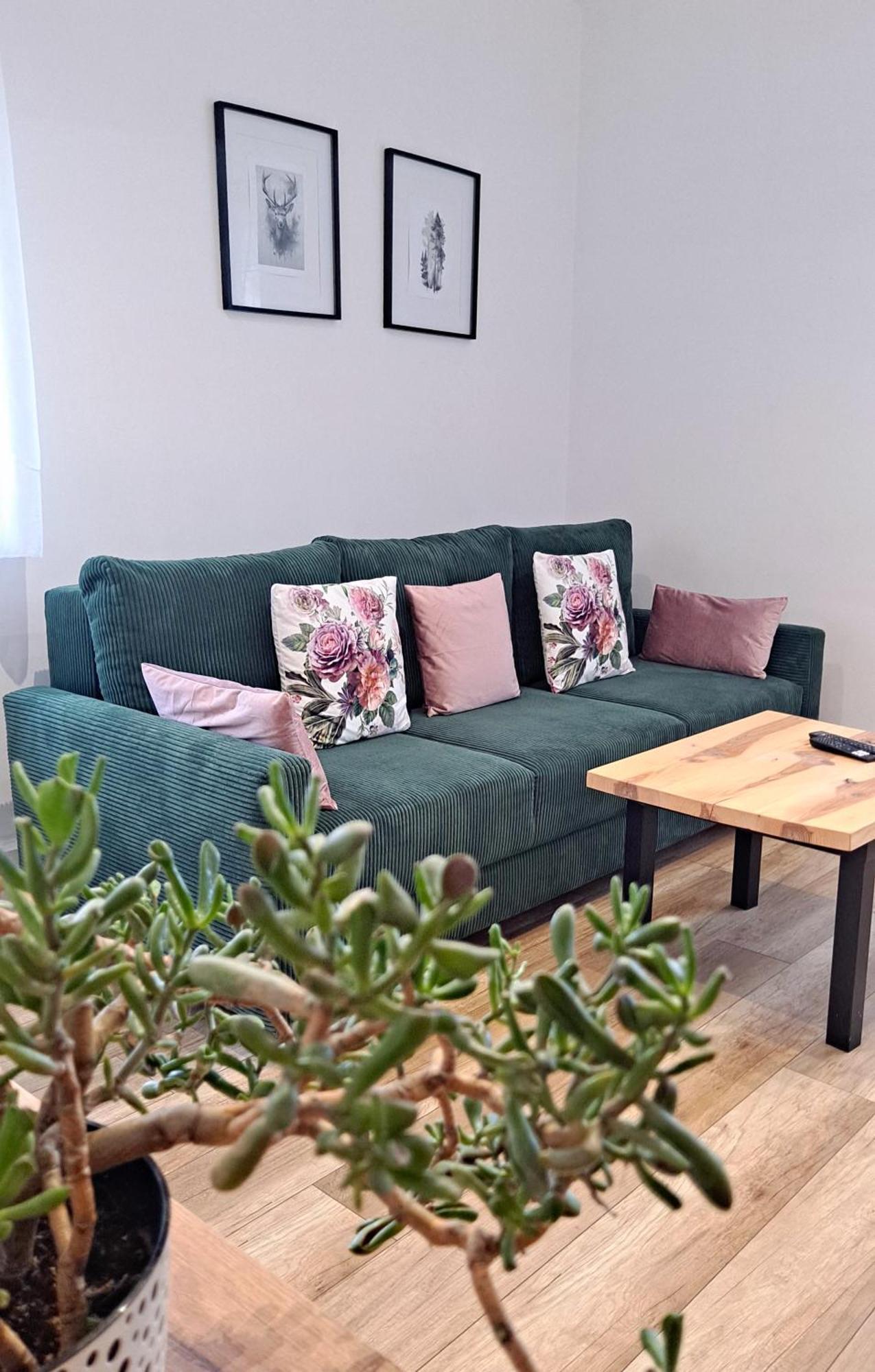 Apartament Dzika Roza Kowary Dış mekan fotoğraf